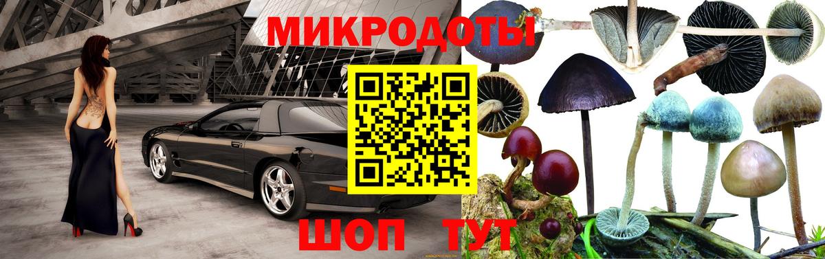 Шелехов  Псилоцибиновые грибы Cubensis  Вход с VPN 
